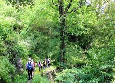 宁波小众徒步路线地图