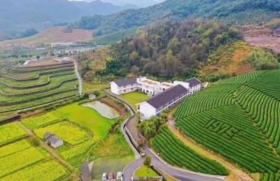 宁波哪里民宿比较有特色