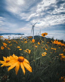 宁波出游3天攻略