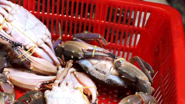 宁波海鲜哪里好吃又便宜地址