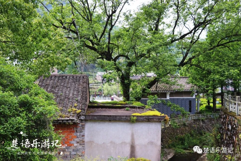 宁波哪里有避暑的好地方