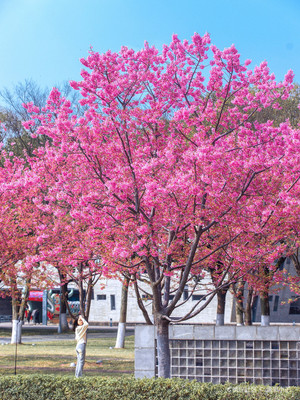 宁波出发去哪里玩比较好